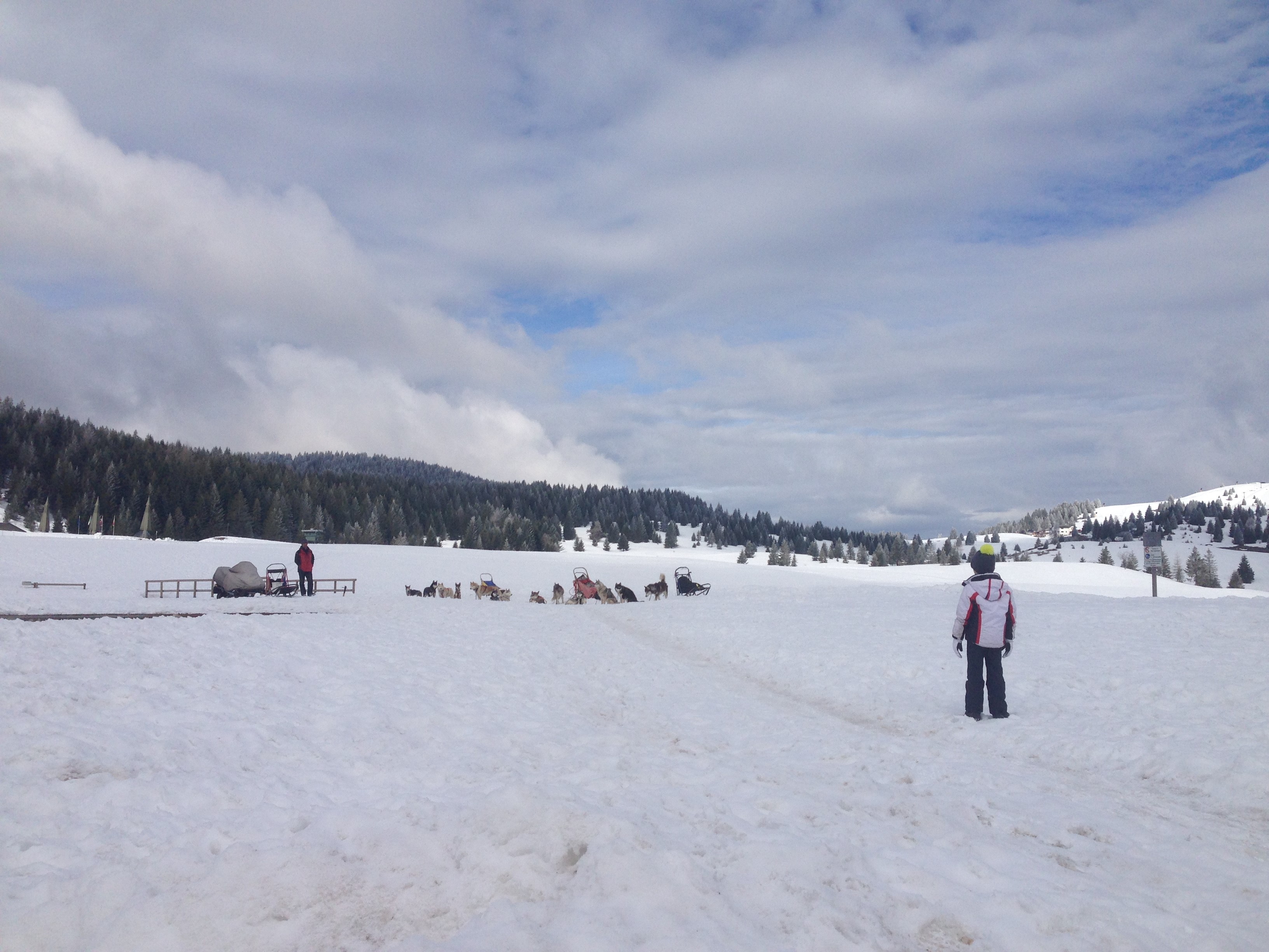 Divertimento per i bambini in inverno. Slittino da uno scivolo sulla neve.  Un ragazzo sorridente in occhiali si muove in una slitta, come un pilota  come se guidasse un cavallo redini. Divertimento