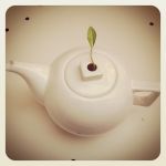 El Dolz - un tè servito come si deve